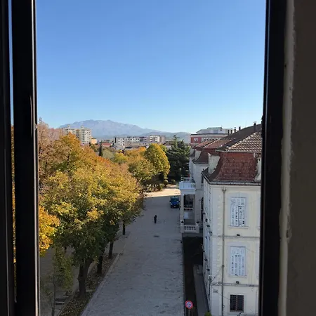View * שקודר